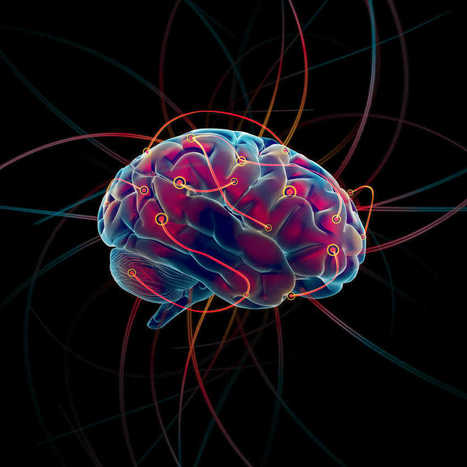 #temadeldía #CEREBRO #educacion   // ¿Cuantos megabytes puede almacenar el cerebro humano? | Educación, TIC y ecología | Scoop.it