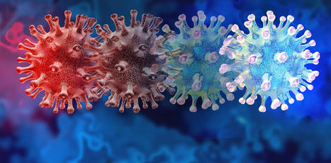 Omicron : comment ce nouveau variant du SARS-CoV-2 a-t-il été identifié, et que sait-on de lui ? | Veille informative du CDIR de Croix-Rouge Compétence Occitanie | Scoop.it