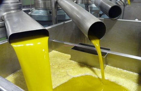 Ni la presión ni las amenazas mueven al alza el precio del aceite, que incluso frena sus leves subidas | OLIVE NEWS | Scoop.it