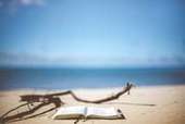 Cahier de vacances : les trois meilleures applis &eacute;ducatives | UseNum - Ressources p&eacute;dagogiques | Scoop.it