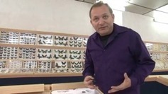 Peyruis : le Muséum des insectes du monde menacé de disparition | Variétés entomologiques | Scoop.it