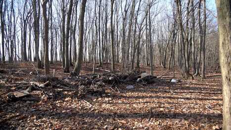 Marlboro neighbors concerned for home approved behind neighborhood | Industry 411 - Waste Management | Scoop.it