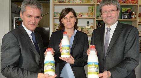 Une filière du lait normand lancée par Carrefour | Lait de Normandie... et d'ailleurs | Scoop.it