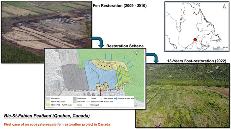 Original Paper in Ecol Eng &bull; Gu&ecirc;n&eacute;-Nanchen & Rochefort Labs 2025 &bull;&nbsp;Unfolding a peatland&rsquo;s story: Assessing the restoration outcomes and driving factors from a disturbed minerotrophic peatland in Ea... | Originals | Scoop.it