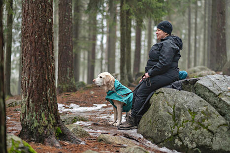 Sokea Heidi Koivunen ker&auml;&auml; lintujen &auml;&auml;ni&auml; &ndash; Yli sadasta jo tallenne | 1Uutiset - Lukemisen t&auml;hden | Scoop.it