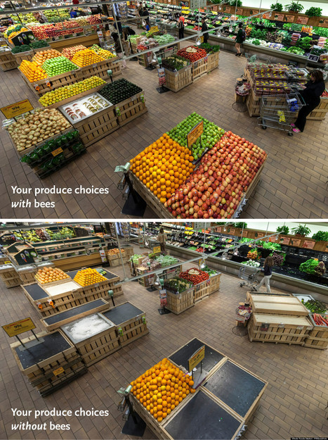 PHOTO: This Is Your Supermarket Without Bees | Nouveaux paradigmes | Scoop.it