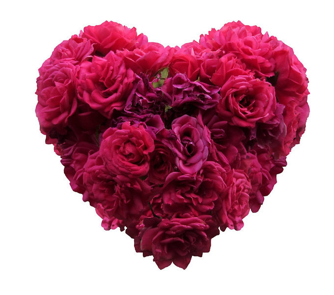 ‘Pink roses heart’ by ElaW | Decor...