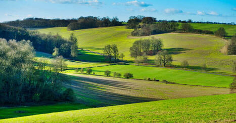 Champs, rivi&egrave;res, nappes phr&eacute;atiques: dans la Meuse et les Ardennes, les PFAS "se sont infiltr&eacute;s partout" | Biodiversit&eacute; - @ZEHUB on Twitter | Scoop.it