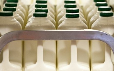 UK : Dairy UK et Arla s’engagent sur la durabilité | Lait de Normandie... et d'ailleurs | Scoop.it