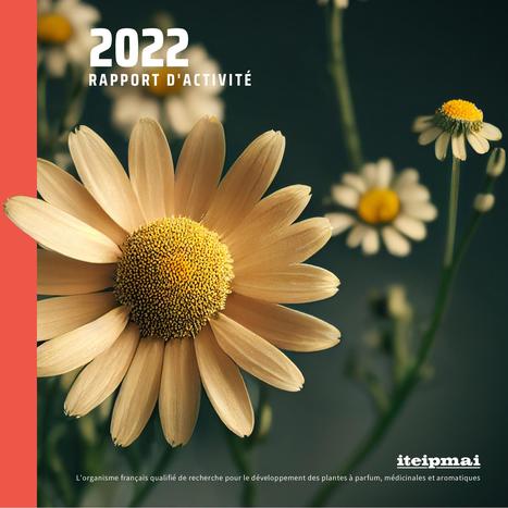 Rapport d'activités 2022 - iteipmai | Hortiscoop - Une veille sur l'horticulture | Scoop.it
