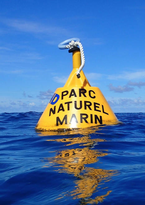 Parc Naturel marin : garder le cap entre touristes, tortues, pêcheurs et coraux - Le Journal De Mayotte actualité | ECOLOGIE - ENVIRONNEMENT | Scoop.it