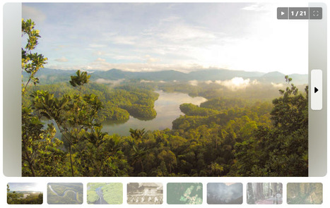 Conservation vs. Exploitation: Who Has the Right to Decide the Amazon Rainforest’s Future? | RAINFOREST EXPLORER | Scoop.it