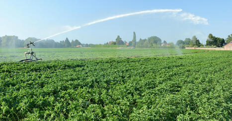 Protection des captages d'eau potable&nbsp;: une nouvelle aide bient&ocirc;t exp&eacute;riment&eacute;e en Artois-Picardie | "Sur mesure" : l'actualit&eacute; du cabinet | Scoop.it