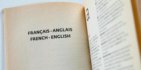 French parliamentary candidate Gilliatt de Staërck's anti-English language campaign | Linguistics & Language Neurology | Scoop.it