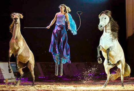 Lucie Vauthier, sur la piste des plus grands | Salon du Cheval | Scoop.it