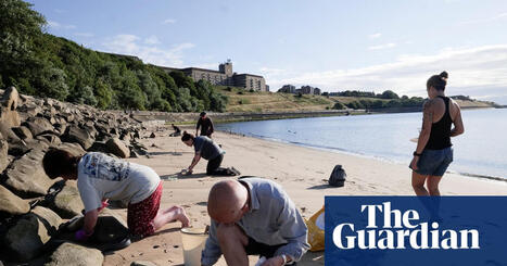 &lsquo;There&rsquo;s no nurdle fairy&rsquo;: thousands mobilise to clean up plastic spillage in north-east England | Tyne and Wear | The Guardian / le 02.08.2026 | Pollution accidentelle des eaux (+ d&eacute;chets plastiques) | Scoop.it