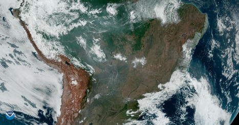 How AI can help the food sector to meet new deforestation rules | Sustainable Procurement News | Scoop.it