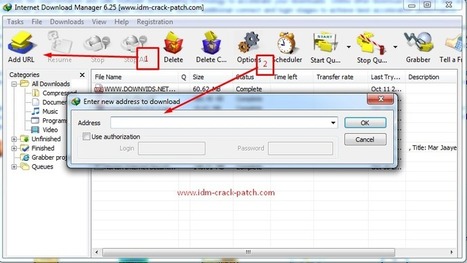 Internet Download Manager Idm 6 25 Build 2 Crac