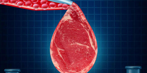 ALIMENTATION : Quel impact environnemental pour la viande cellulaire ? | INNOVATIONS | Scoop.it