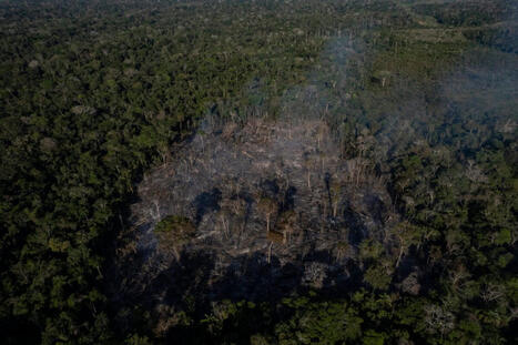 BRAZIL: Deforestation in Amazon and Cerrado savanna at lowest rate ever recorded | AM&Eacute;RIQUES | Scoop.it