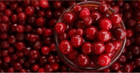 Digestive Health: Cranberries May Be the Key to a Healthy Gut | Health and Wellness Center - Elevate Christian Network | Scoop.it