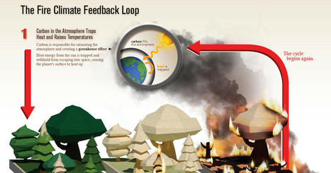 Climate change and wildfires | Stage 6 HSC Geography ( Current syllabus) | Scoop.it