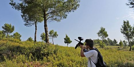 Des lanceurs de paintball pour chasser la chenille processionnaire | Biodiversit&eacute; | Scoop.it