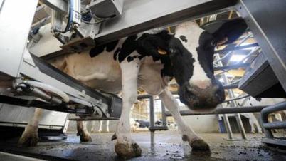 La sortie de crise tarde à venir pour les producteurs de lait | Lait de Normandie... et d'ailleurs | Scoop.it