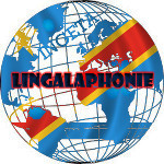 RDC: en réponse au sommet de la Françafrique: La Lingalaphonie...  - via @AfricaPressNews | Actualités Afrique | Scoop.it