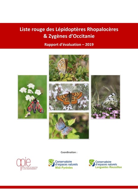 Liste rouge des Lépidoptères Rhopalocères & Zygènes d'Occitanie : Rapport d'évaluation - 2019 | Insect Archive | Scoop.it