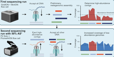 Recovery and microbial host assignment of mobile genetic elements in complex microbiomes: insights from a spiked gut sample | mSys | RMH | Scoop.it