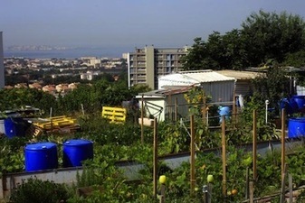 Le boom de l'agriculture urbaine | Innovation sociale | Scoop.it