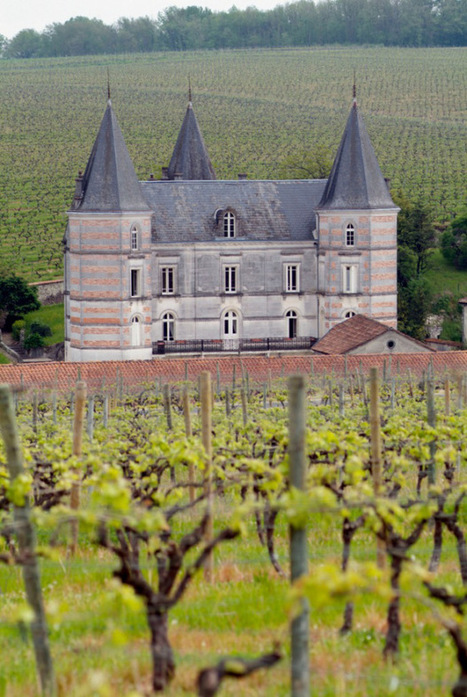 A quick tour at Chateau fontpinot, the house of Cognac Frapin | The Cognac and its vineyards | Scoop.it