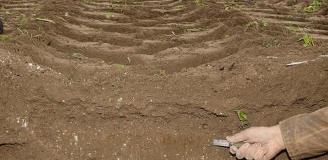 Cycle de l&rsquo;azote : Des chercheurs d&eacute;couvrent une nouvelle fa&ccedil;on de contr&ocirc;ler les GES | Elevage et environnement | Scoop.it