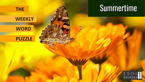 The Big Summer Word Search | English Word Power | Scoop.it