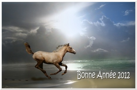 Bonne Ann&eacute;e | Cheval et sport | Scoop.it