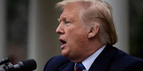 Trump already committed a crime when he refused to turn over documents he knew he had: expert - RawStory.com | Backstabber Watch | Scoop.it