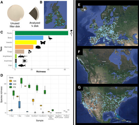 Des filtres à air pour suivre la biodiversité | EntomoNews | Scoop.it