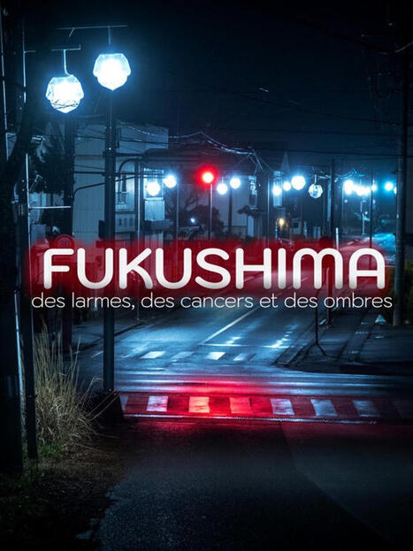 Fukushima&nbsp;: en France aussi, on invisibilise les victimes | Non au Nucl&eacute;aire | Scoop.it