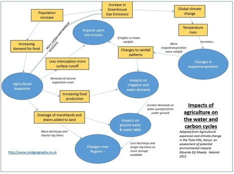 Human Influences on the water cycle | TunstallGeog - Water and Carbon Cycles (AQA Geography A-level 3.1.1) | Scoop.it