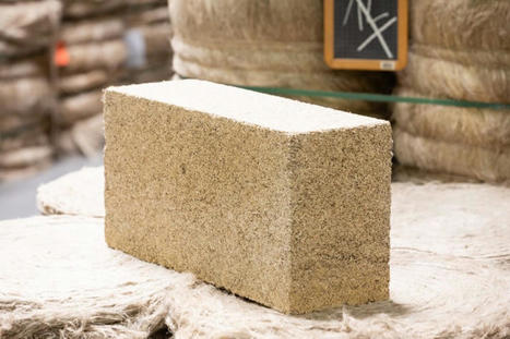 Le lin : une fibre d&rsquo;avenir pour la construction | Mat&eacute;riaux recycl&eacute;s, g&eacute;o et bio-sourc&eacute;s en r&eacute;gions m&eacute;diterran&eacute;enne et alpine | Scoop.it