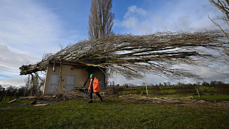 L'IA et les r&eacute;seaux sociaux : un duo au service de la gestion de crise | L'IRIT UMR5505 (CNRS-Toulouse INP-UT-UT Capitole-UT2) dans les m&eacute;dias en ligne | Scoop.it