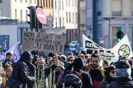 Rhône. Manifestation contre Bayer-Monsanto : 1 500 militants à Lyon selon la préfecture | Variétés entomologiques | Scoop.it