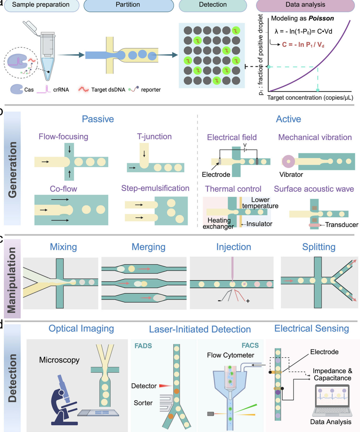 Droplet Digital CRISPR for Nucleic Acid Detecti...