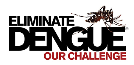 Vers une &eacute;radication de la dengue &agrave; Noum&eacute;a ? | EntomoNews | Scoop.it