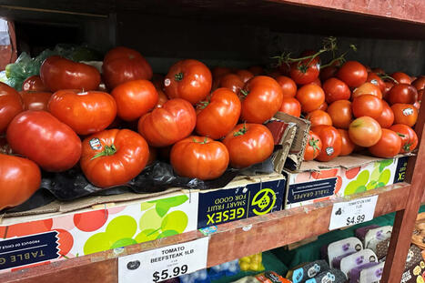 US: Tomatoes become latest symbol of America&rsquo;s affordability squeeze | AM&Eacute;RIQUES | Scoop.it