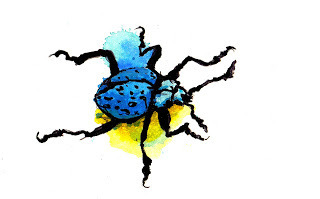 Encres et Croquis | Vari&eacute;t&eacute;s entomologiques | Scoop.it