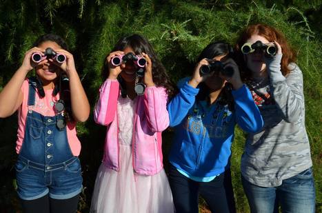 Amazon Binocular Project & BirdsEye News, Oct. 2016 | Rainforest CLASSROOM | Scoop.it