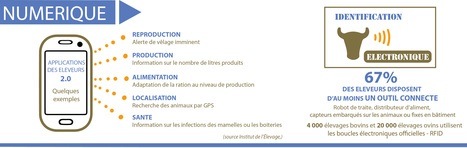 #SIA2017 : Panorama de l'élevage français de ruminants - un jour, une image | Actualités de l'élevage | Scoop.it