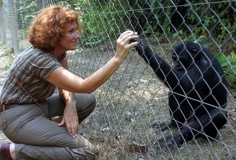 Apes and Humans Share Same Empathy, Yawn Study Suggests | Empathy and Animals | Scoop.it
